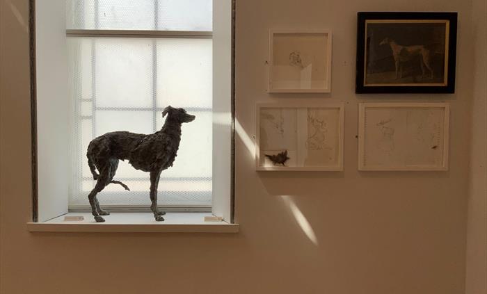 Royal Cambrian Academy of Art